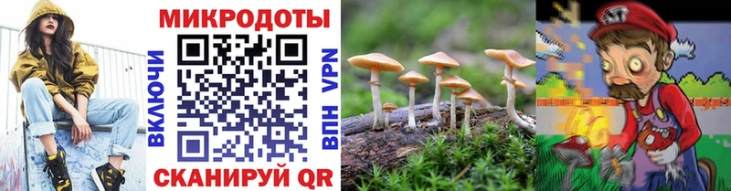 Купить где Армянск Псилоцибиновые грибы Psilocybine cubensis